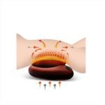 Masajeador Electrico Vibrador Multifuncional - Image 3